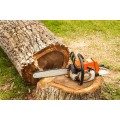 6E Tree & Hedging Services
